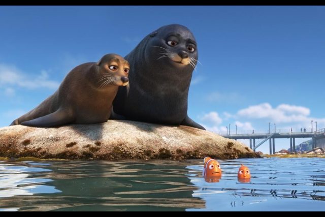 Finding Dory and Sea Lions