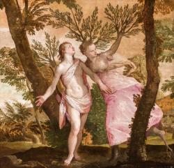 Veronese, Apollo and Daphne, ca. 1560-1565. Oil on canvas. Gift of Anne R. and Amy Putnam, 1945.27