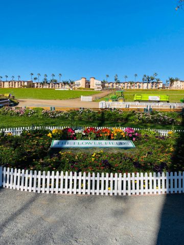 The Flower Fields Entrance