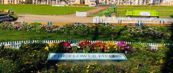 The Flower Fields Entrance